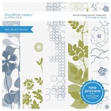 Reflections Digital Overlays