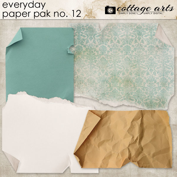 Everyday 12 Paper Pak Digital Art - Digital Scrapbooking Kits