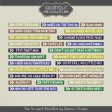 Fast Forward Word Bits