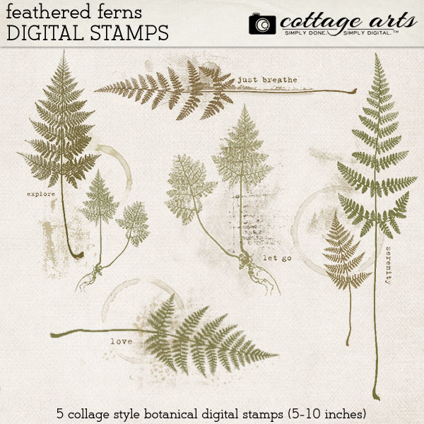 Feathered Ferns Digital Stamps Digital Art - Digital Scrapbooking Kits
