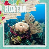 Enchanted Tropical Vacation Roatan 12x12 Page Print Templates