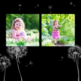 Black Gallery Elegant 12x12 Predesigned Pages