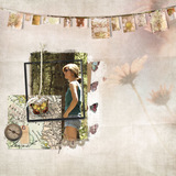 Off The Beaten Path 16 Paper Pak