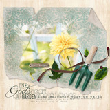 Everyday 12 Paper Pak