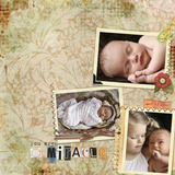 Positivity Scrap.Words