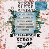 100% Scrap Addict Stamps