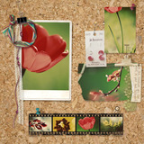 Scrap Templates - Pinboards 2
