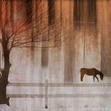 Off The Beaten Path 12 Paper Pak