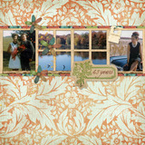 Homemade Goodness Page Pak