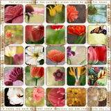 Scrap.Frames 6 – Storyboards 