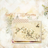 Scrap.frames 27 - Marbled Hues