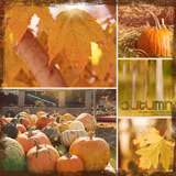 12 X 12 Scrap Templates 14 - Page Layouts