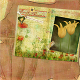 Nature's Sketchbook - Journals 3