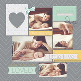 Tiny Blessing 2 Pre-designed Pages