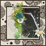 Cut Out Page Frames Set 2