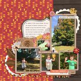 Pumpkin Spice Collection