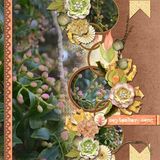 September Song Bundled Collection