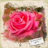 Memory Masks Boho Set 6