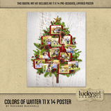 Colors Of Winter 11 X 14 Poster