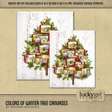 Colors Of Winter Tree Canvases