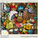 Cornucopia Of Thanks
