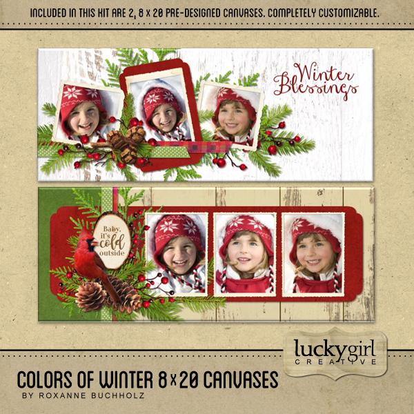 Colors Of Winter 8 X 20 Canvases