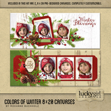 Colors Of Winter 8 X 20 Canvases