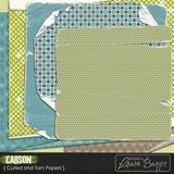 Carson Torn And Curled Papers