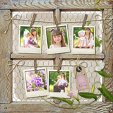 Colors Of Spring Frames