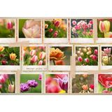 Simply Storyboards 2 - 12x18 Templates