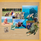 Australian Adventure