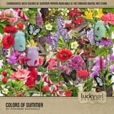 Colors Of Summer