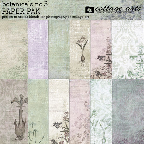 Botanicals 3 Paper Pak Digital Art - Digital Scrapbooking Kits