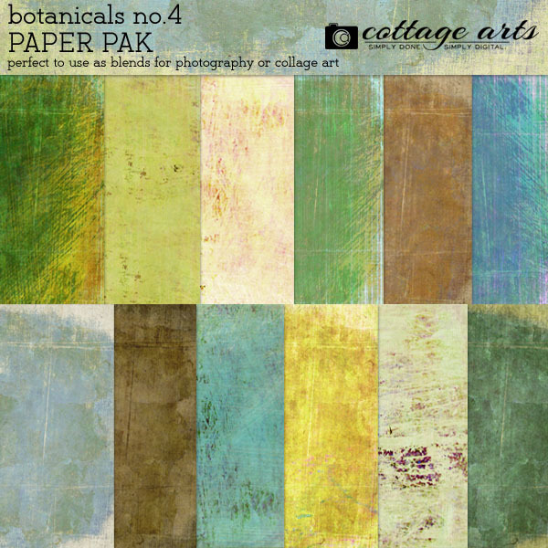 Botanicals 4 Paper Pak Digital Art - Digital Scrapbooking Kits