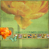 Spring Green Paper Pak