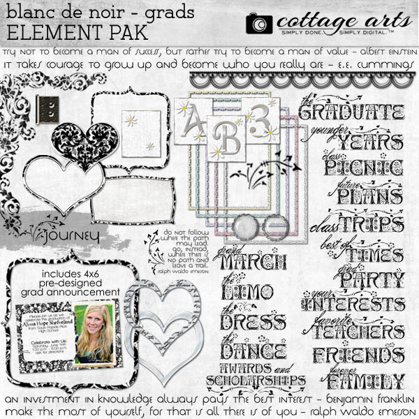 Blanc De Noir 1 Element Pak Digital Art - Digital Scrapbooking Kits