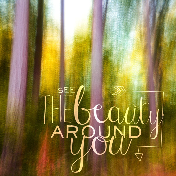 Beauty of forest essay image