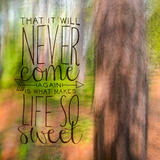 Into The Woods Scrap.words