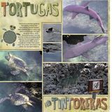 12x12 Fourth Quarter 2013 Blueprint Collection