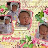 Summer Blessings Clusters