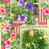 Summer Blessings Clusters