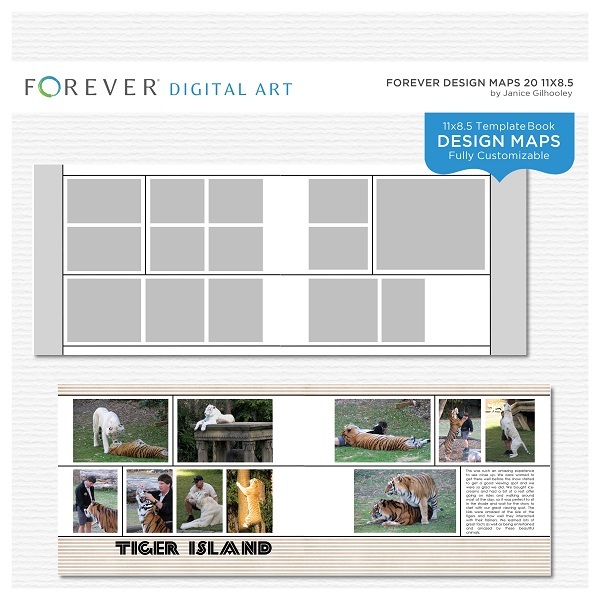 Forever Design Maps 20 11x8.5 Digital Art