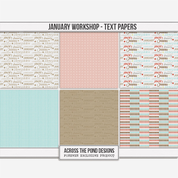 January Workshop - Text Papers