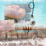 In My Garden Danglies