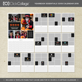 Yearbook Essentials 12x18 Calendar 2018