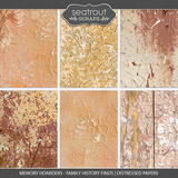 Memory Hoarders - Family History Finds Distressed Papers