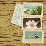 Organics 1 Paper Pak