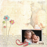 Scrap.Frames 22 – Frame Clusters  