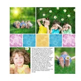 Picture Perfect - Distressed Daisies Pre-designed Book 12 X 12