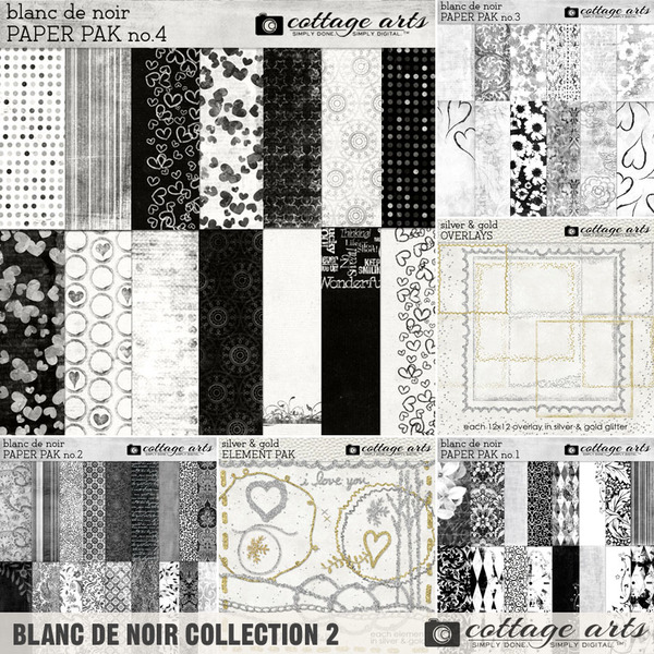 Blanc De Noir Collection 2 Digital Art - Digital Scrapbooking Kits